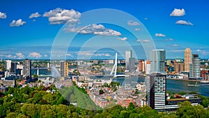 View of Rotterdam city and the Erasmus bridge