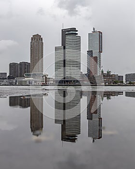 View of the Rotterdam Wilhelmina pier district
