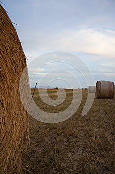 View of round bales of hay in the camp