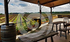 A view of rows of vines in a vineyard from a villa balcony with wooden tables and chairs