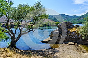 View of the Ruesga reservoir in Cervera de Pisuerga, Palencia, Spain. Calm and tranquility