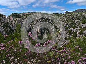 View of the rugged rocks of mountain range Massif des Calanques at the mediterranean coast near Cassis, French Riviera.