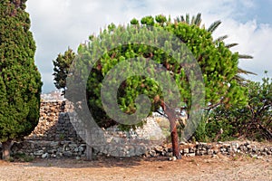 View of the ruins of the historic city of Byblos. Lebanon