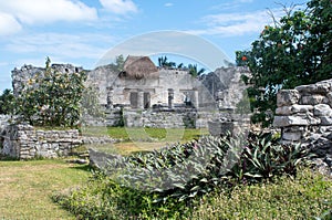 View of Ruins at Tulum Yucatan