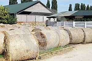 Hay bales are stacked in large stacks on an unknown riding centre