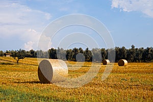 View of a rural italian Landscape with hay rolls under blue sky