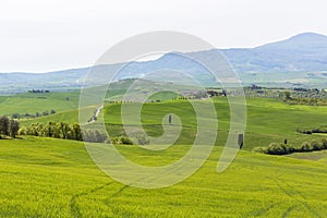 View of a rural landscape