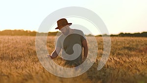 View of the rural landscape. The concept of harvesting in agriculture. A farmer walks through a wheat field, inspecting