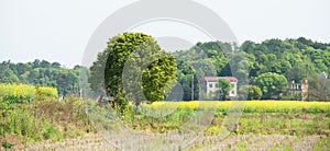 View of rural scenery of riverside plain in spring