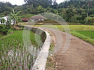 View of Rural, Villages and landscape of Sukabumi West Java Indonesia