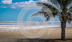 A view of Ruwais desert in Abu dhabi during winter season, ice on desert