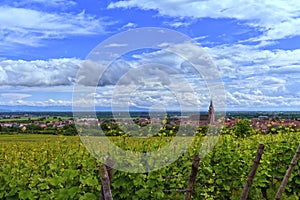 View on Saint-Hyppolyte and vineyard, Alsace, France