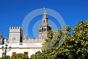 Cathedral and Giralda tower, Seville, Spain.