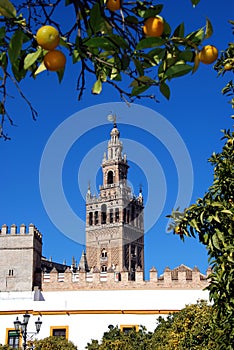 Cathedral and Giralda tower, Seville, Spain.