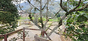 A View of the Salak Mountains, much ricefield