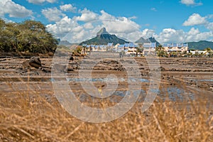 View from the Salines de Yemen Tamarin in Mauritius photo