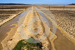 View of Salt evaporation ponds in Secovlje