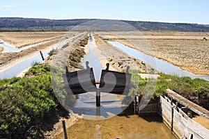 View of Salt evaporation ponds in Secovlje