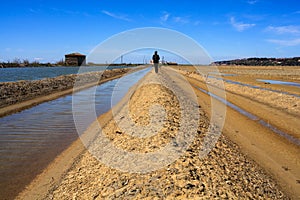 View of Salt evaporation ponds in Secovlje