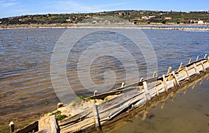 View of Salt evaporation ponds in Secovlje