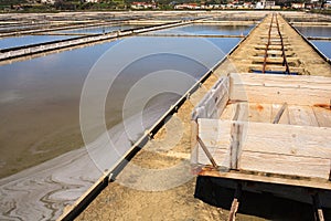 View of Salt evaporation ponds in Secovlje