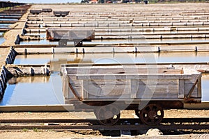 View of Salt evaporation ponds in Secovlje