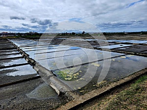 View of the salt flats in Aveiro - Portugal