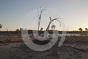 View of salt lake with dead trees in the late afternoon