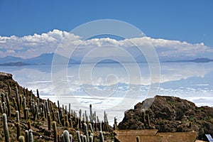 View on the saltflats of salar de uyuni from fisherman`s island in Bolivia