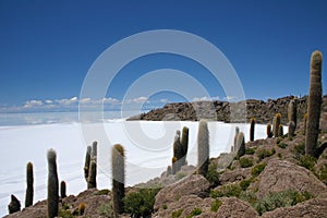 View on the saltflats of salar de uyuni from fisherman`s island in Bolivia