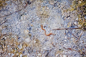 View of salty lake bottom