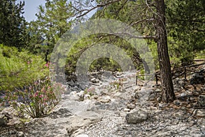 View of The Samaria Gorge, Crete, Greece