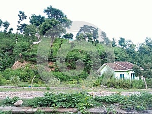 view on the Sambinae Hill, Bima City