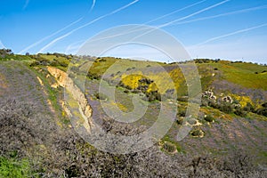 View of the San Andreas Fault along Highway 58 in California, at Carrizo Plain National Monument. Wildflowers in purple and yellow photo