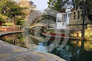 View of the San Antonio Riverwalk with flowers