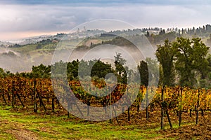 View of San Gimignano in Tuscany with colorful vines and cloudy sky in fall