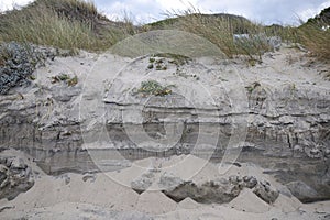 View of the sand dunes