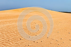 View of the sand dunes of the African desert