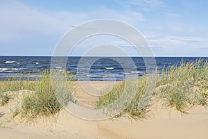 View of the sand dunes and Gulf of Bothnia on the background photo