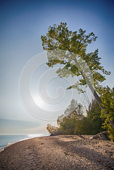 View of sand dunes at Rondeau Provincial Park beach in the summer, with lake Erie in the background, Ontario
