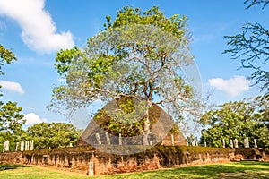 View at the Sandagiri Buddhist Temple in Tissamaharama - Sri Lanka photo