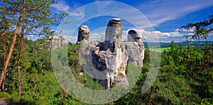 View of sandstone rockies and wood in cesky raj, bohemia