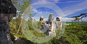 View of sandstone rockies and wood in cesky raj, bohemia photo