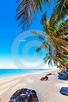 View of the sandy beach, Cook Islands, South Pacific. Copy space for text. Vertical