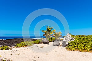 View of the sandy beach, Hawaii, USA. Copy space for text