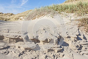 Sandy beach - Holmsland Klit, Denamrk.