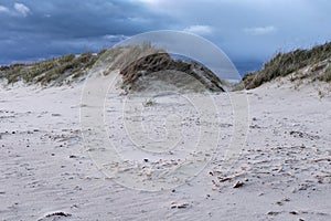 View of the sandy shore of the Parnu bay in evening. It a bay in the northeastern part of the Gulf of Livonia