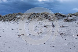 View of the sandy shore of the Parnu bay in evening. It a bay in the northeastern part of the Gulf of Livonia Gulf of Riga of
