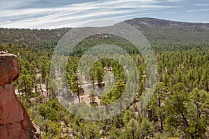 View of the Santa Fe National Forest in New Mexico outside of Los Alamos