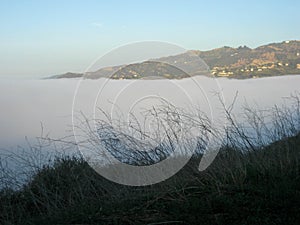 View from Santa Monica Conservancy with Marine Layer
